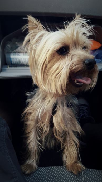 Oglasi za druzenje zagreb oglasi za druzenje zagreb