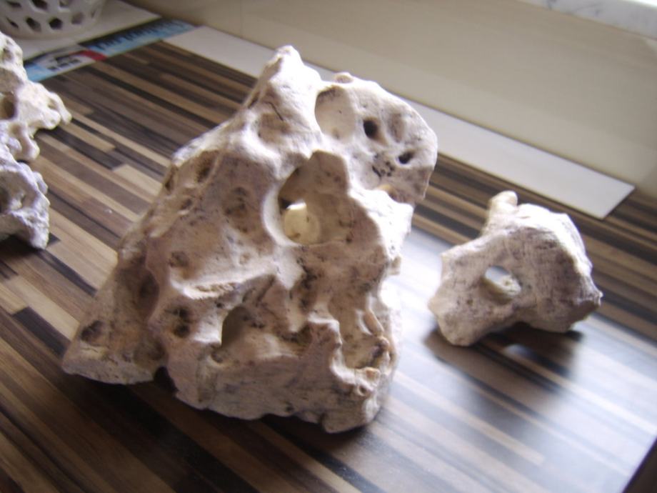 Akvarij net oglasnik akvarij net oglasnik