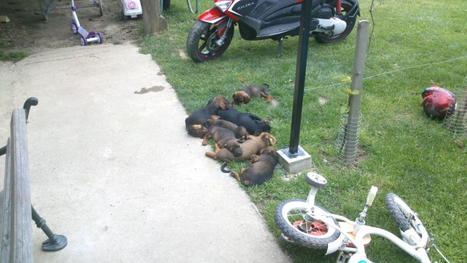 Njuskalo hr poznanstva veza brak njuskalo hr poznanstva veza brak