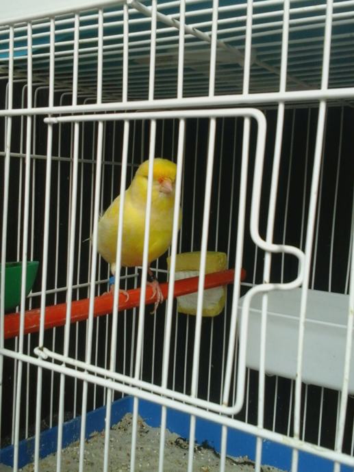 Veze i poznanstva muski zg veze i poznanstva muski zg