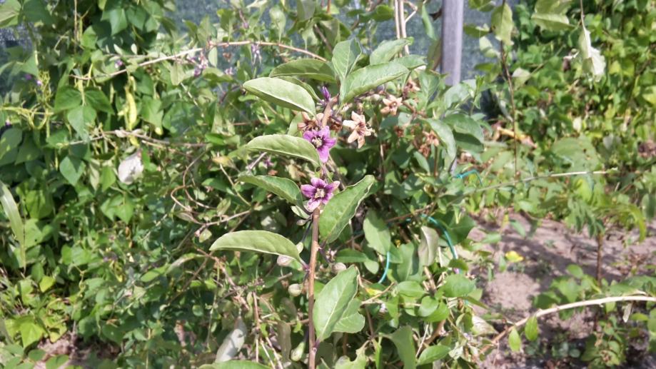 Najbolji portali za oglašavanje apartmana najbolji portali za oglašavanje apartmana