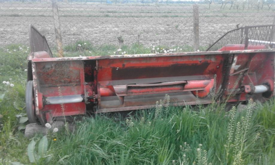 Djevojke za udaju iz njemacke