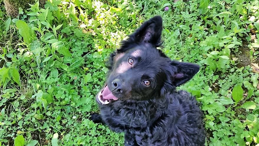 Hrvatski gay portali za upoznavanje hrvatski gay portali za upoznavanje