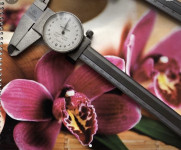 Pomicno mjerilo sa satom Mitutoyo