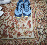 Salomon Sense Ride 4