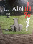 ALEJA GLAGOLJASA /JOSIP BRATULIC