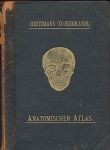 Carl Heitzmann Atlas des deskriptiven anatomie des menschen