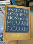 Charles Earl Bradbury-Anatomy and Construction of the Human FIgure
