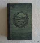 Der Dorfapostel (roman, 1900)