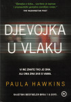 Djevojka u vlaku