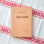 Doroti Beker: Mladić s trubom