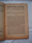 Hrvatski sokol broj 3, godina VI, ožujak 1924 g