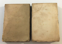 Jagić Kaznačić Daničić Pjesme Mavra Vetranića Čavčića knjiga 1 i 2