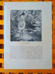 KNJIGA O ŽENAMA ILUSTRACIJE/PLOČE JUTARNJE KUPANJE  Alfred Kind 1930