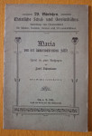 Maria von der immerwahrenden Hilfe - Josef Schindlauer, iz 1904