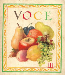 VOĆE III  - ilustrirana knjiga