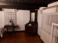 Alt deutch psiha s ogledalom