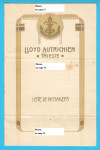 AUSTRIJSKI LLOYD - Parobrod WIEN - spisak putnika z 1913. godine