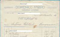 DOMENICO FABRO - DIGNANO (Vodnjan) memorandum 1930 u Lisignano Ližnjan