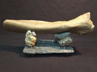 Kost noge vunastog mamuta starosti oko 20 000 godina