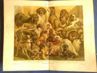 STARA LITOGRAFIJA (CHROM) - PSI - 18 st.