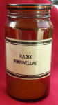 Ljekarnička boca za Radix Pimpinellae - Korijen bobnice