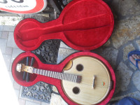 stari kineski autohtoni instrument Gaoyinruan 500 MF-zamjene za starin