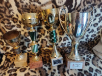 stari pehari i medalje