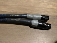 Gabriel Gold RAPTURE XLR 1m