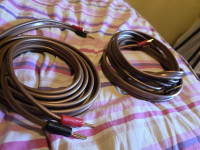 VAN DEN HULL D-352 Zvucnicki kabel ,2×2.5 metra ,Terminacija banane