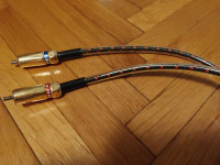 Wire World Equinox 5 RCA audiofilski kabel (par, 0,5 m)