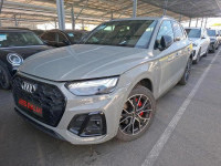 Audi Q5 40 TDI Quattro S-Tronic 3xS-Line MATRIX LED Kamera360