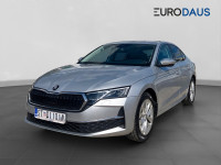 Škoda Octavia 2,0 TDI  Selection