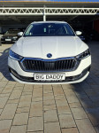 Škoda Octavia Combi 2,0 TDI FULL  REDIZAJN 2024 GARANCIJA