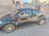 VW Beetle 1,9 TDI