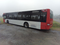 MAN  A 20 Lions City