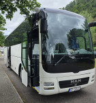 Man Lion's Coach