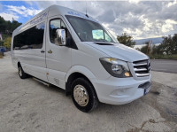 mini bus -sprinter 519 CDI-  3.0 V6