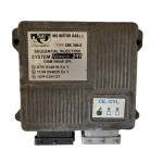 4 CYLINDER LPG ECU NEWECO DR1 / DGM 59546 LPG / CRC 504.6 / MG GAS ENG