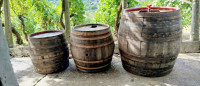 DRVENE BAČVE ZA VINO, KAŠINA