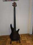 Ibanez gwb35 fretless