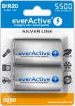 Silver-2x everActive R20 / D punjive baterije Ni-MH 5500 mAh