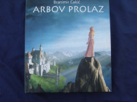 Arbov prolaz , Čakić