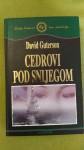 Cedrovi pod snijegom