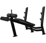 NAUTILUS OLYMPIC DECLINE BENCH