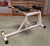TECHNOGYM HYPEREXTENSION