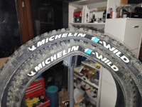 Michelin e-wild