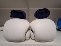 boksačke rukavice 120 ergonomske bijele
