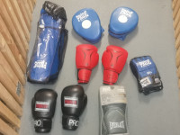 Box rukavice Everlast/MMA Pride