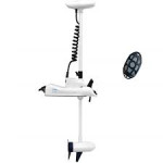 Haswing Cayman 55lbs 137cm